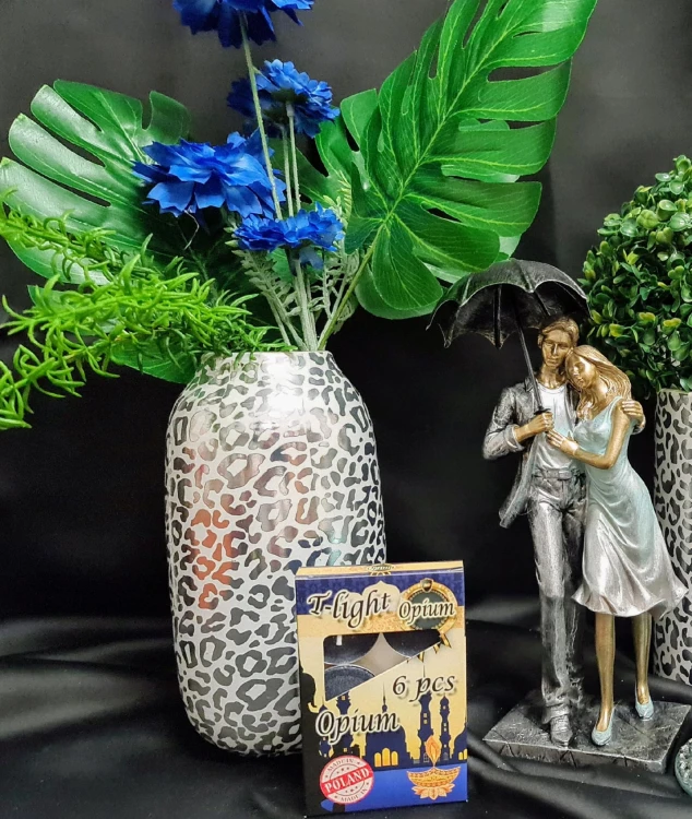 6fd0aecef1ef381ec555791b9e189fad