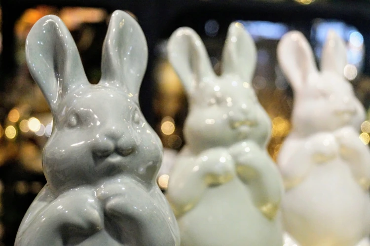 9a5f7a9916b3fa19b3d0448110f527f4