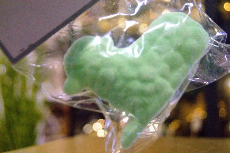 45bba207df7fe74367123d7b9d49b1ec