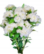 7760ff2be2b662f61f34f0efe6774cf5