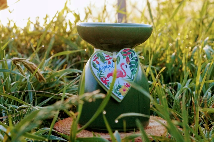 dd4acce585b445c9d5dbd19f8b9e524e