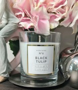 4ed7c8f20e02fedd05a155e58dd014ed