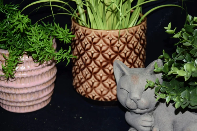 f902d95390aa158b60d1ac9e63391e16