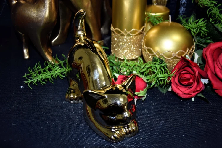 db4e39bf8424222c16c76c70ed0ecb4e