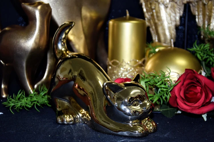 3bacc8e18f2ad109f90db8040bff5250