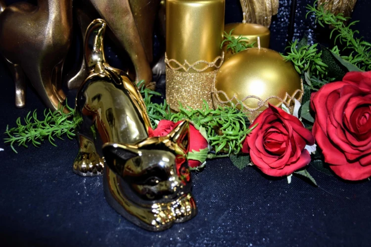 d4a482163c1a0657aaf1edd140434eb7