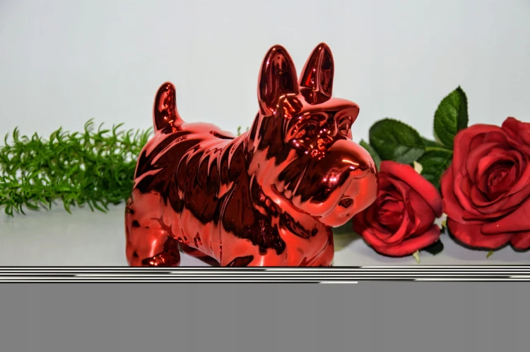 cc7c4c1a46939a8b8395ffa1b22b6d29