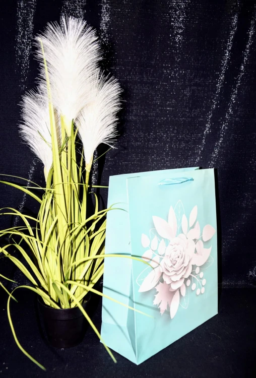 187027afcc90b5018ac50764e40ec9b2