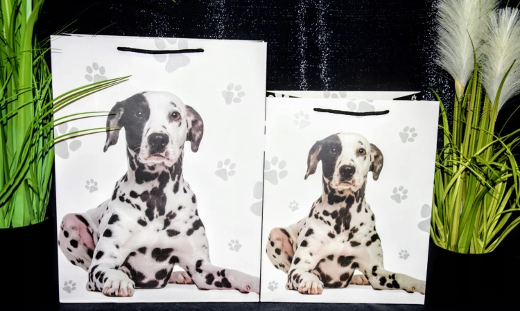 b378206284eedb73eed724c0e764ee40