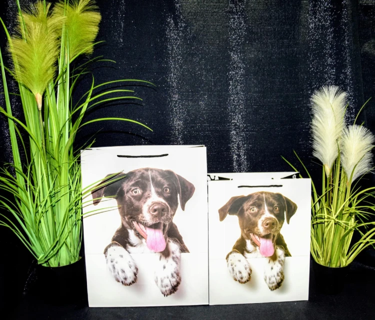 ff8375339245db66f242eab7581b74cf