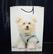 ef629fe74f252083aac9357e85c5f7cc