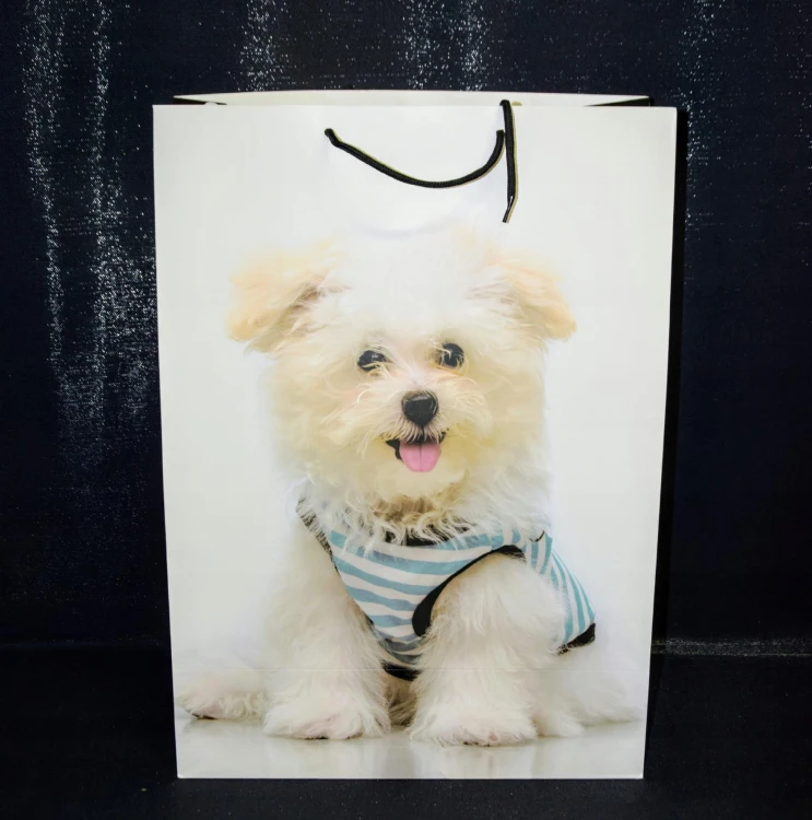 ef629fe74f252083aac9357e85c5f7cc