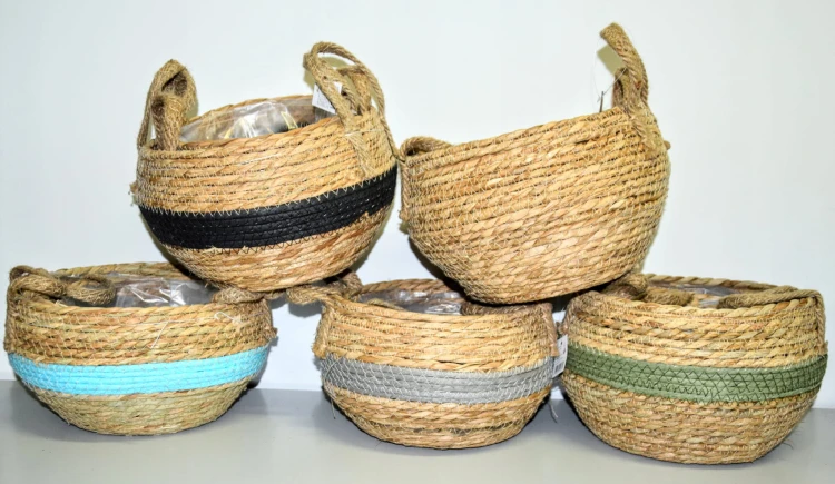 504e62619f350cea05caabd433c9ac29