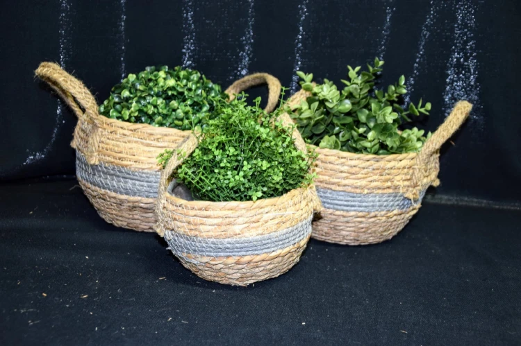 29c0b37c46d0c420dce78ce32ef6806f