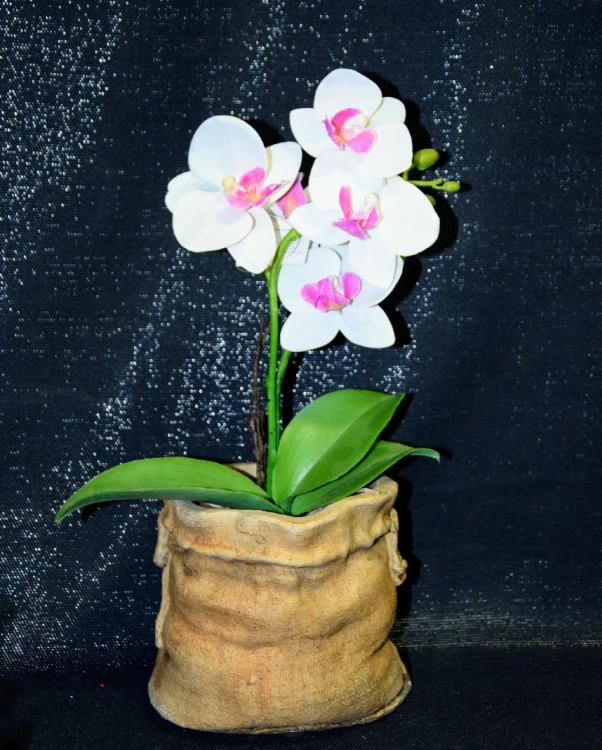 96295b261fff7c353388e8ba1a2d529d