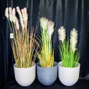 3e74f2a0ab8ddbbaf61b726172a810b9