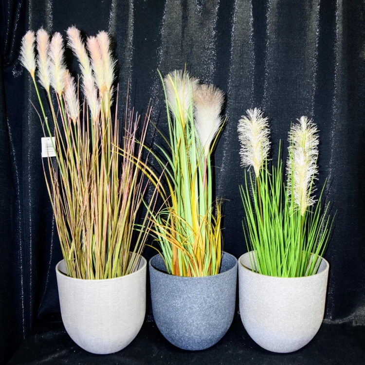 3e74f2a0ab8ddbbaf61b726172a810b9