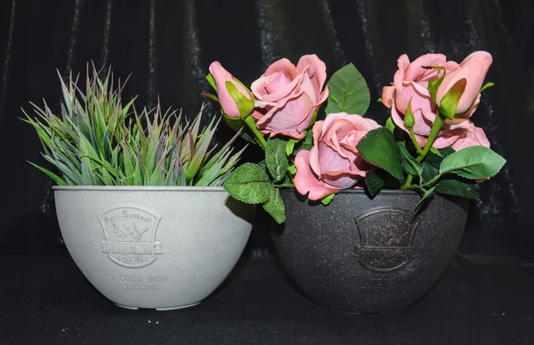 00e356d489b652d051ef3259c72492d2