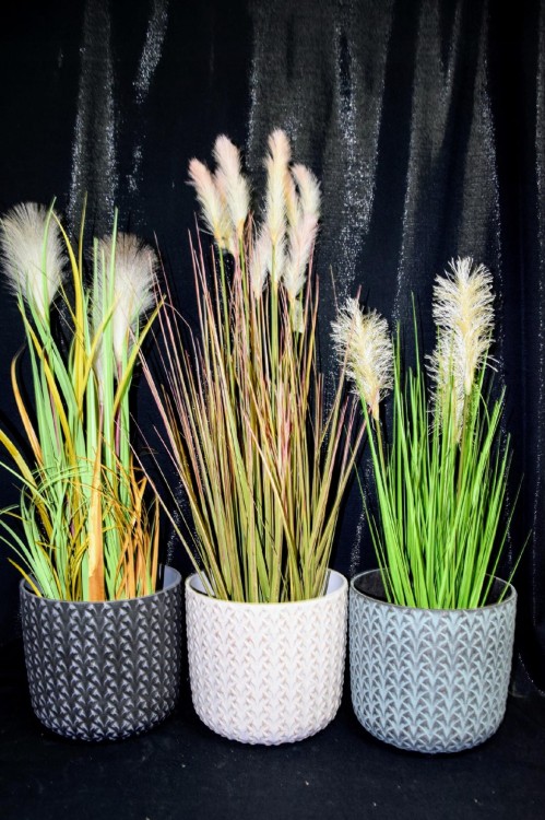 dd010f71e13da52478e47aa5ad0cbf7a