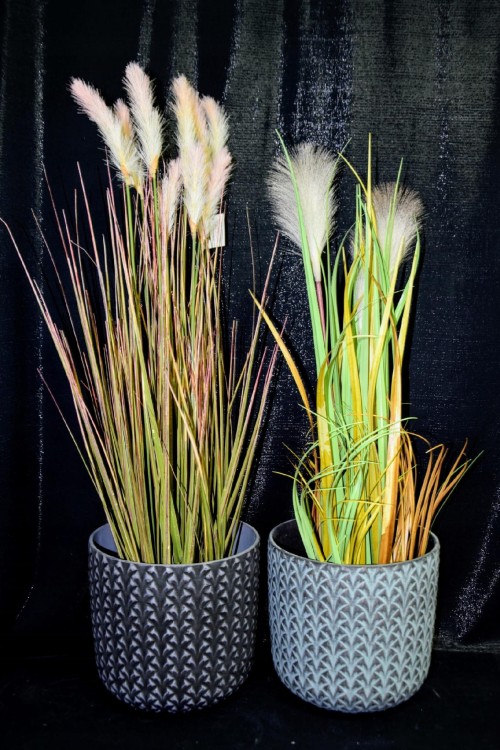 89f9167c9ddb7c22026b47b5a61e7278