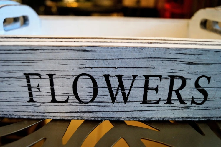 698119ba5773faec03e20ba8c6ca6cb1