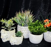 2834f2ea39fc0518eab5d15b945b1de5