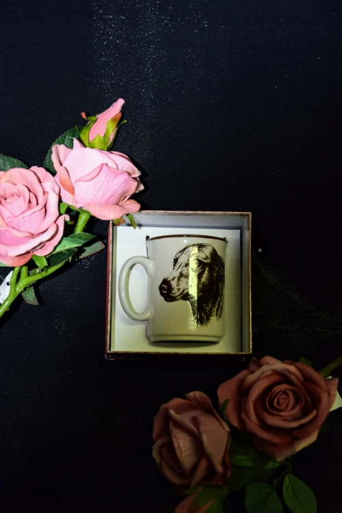 7369b8f7f5d370eccbc1984ec1474706