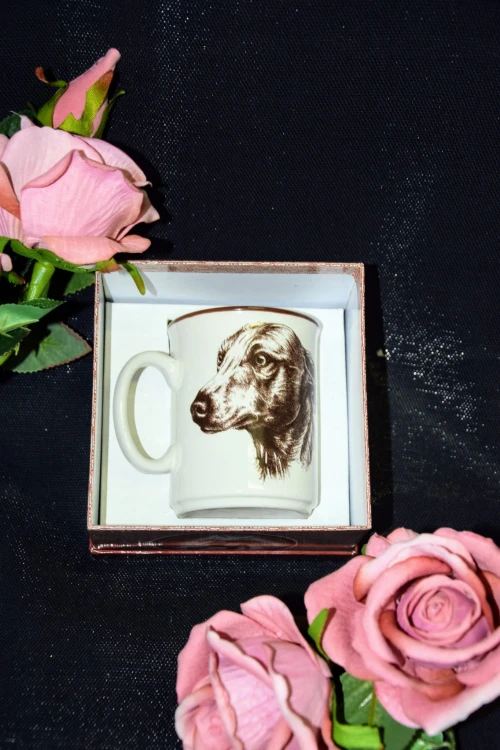 67b5c46c2a3b3f032fc84f561870ea02