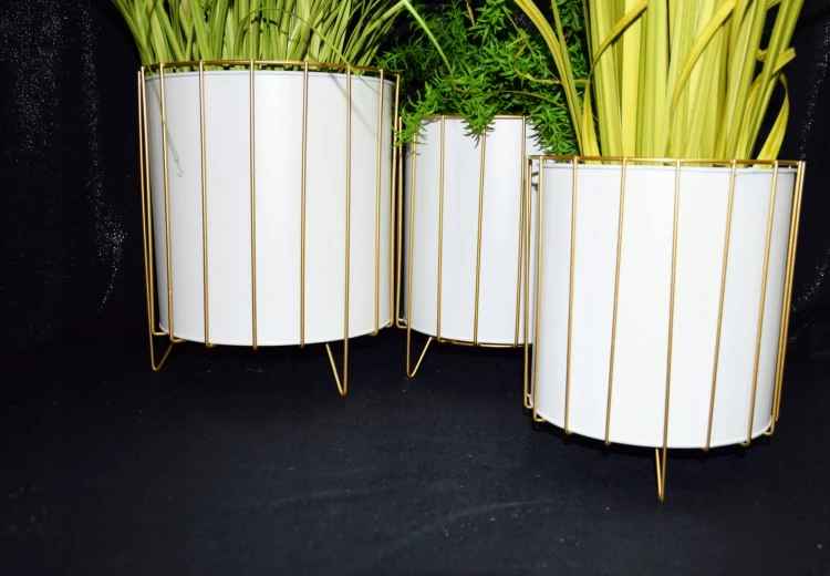 6679912e3f8e875f05891645523fb2e1