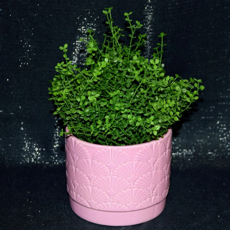 9313610fdbe4c55a85c59498947d739f