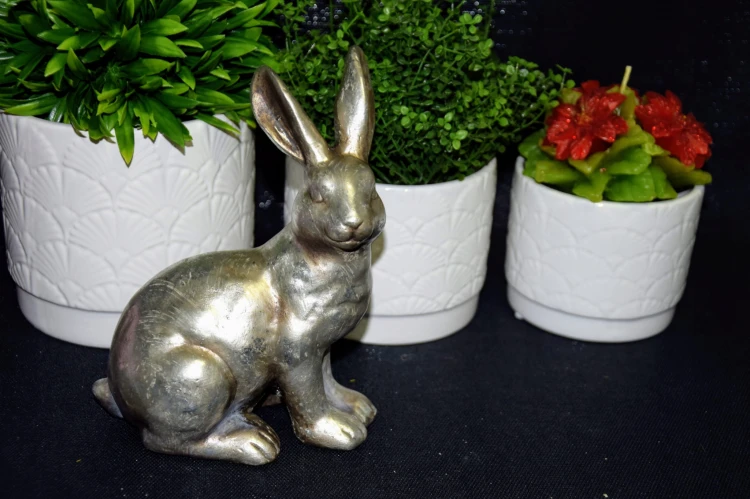 2aaf9a309c4b04f7716579d8717dfa03