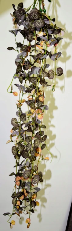 5b7464100fe9db9cca2f0ed0fddfe20c