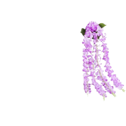 a91d222765a0217c1a85ee58cec10eea