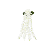 45db97c3f95f314a5bced4d25c7d484e