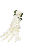 b19d74b30464587bb9f7e2552901edfb