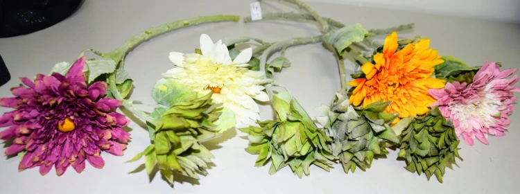 7ea5c5360a21209cc21ec7b243915247