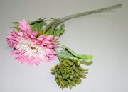 765a8cb6a2b57c89e975b3ba8325afd1