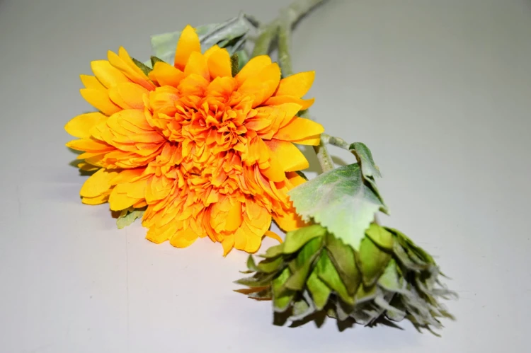 7f10ffa6143c21f97acf0b8a862aac0f