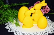 7e413b31482ff446331b52e054ee7b3e