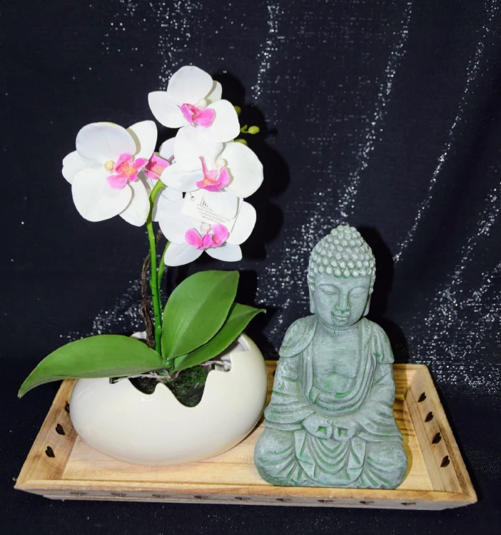 21e73d78136947285fcb837af57e9e8a