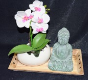 a3e066ec0aa1844b6c7204848388616b