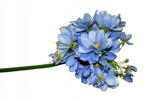 700394d3f842431b1052f9ed7267d6ce