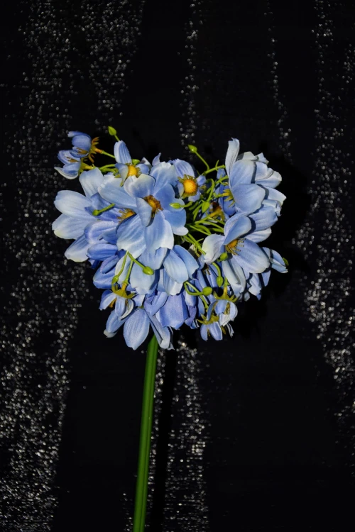 934b65bd8e5ba5d55587878a7da91dba