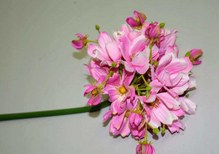 fd8917ee561778749909326fdaa05893