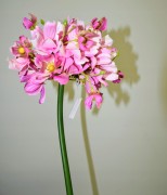 6f8397391bfe59e6524c26e66141fc7f