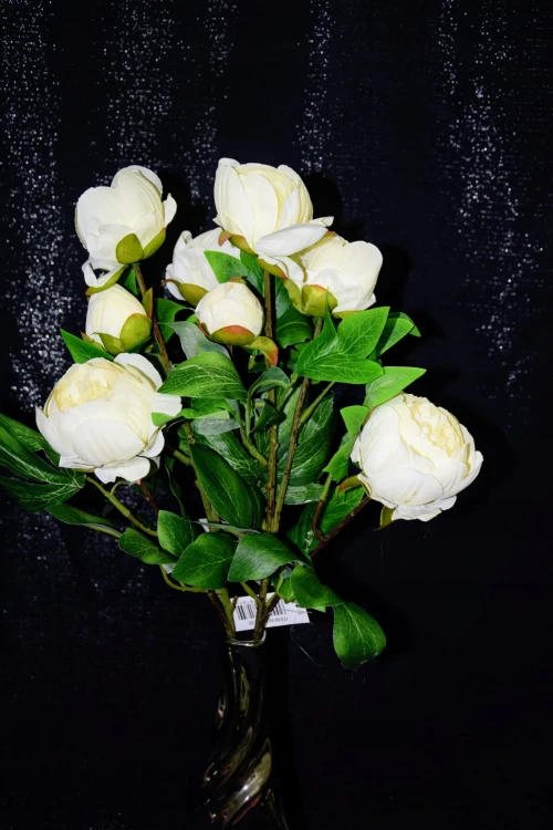 da858f351e44b5e99fc89e6c3fa7337e