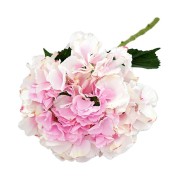 e51c74771ef7f9ffa49023dc3d0d04d6