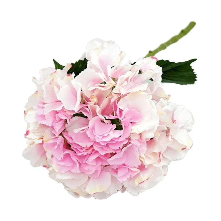 e51c74771ef7f9ffa49023dc3d0d04d6