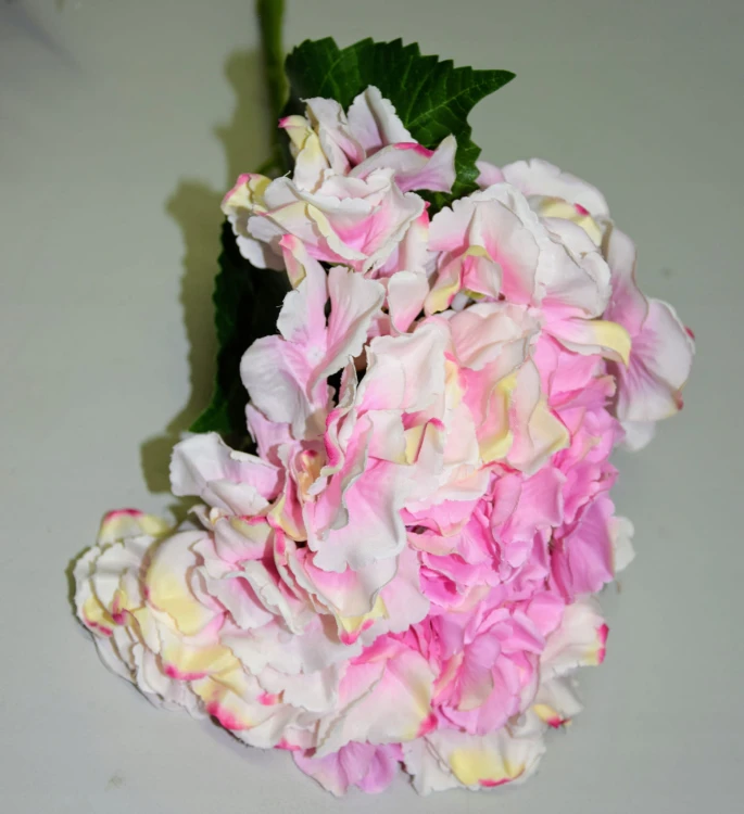 088da941bb82392aa017fd10f75a15a3