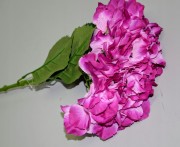 6dce9f3ad266cdb82e3f4590b1b5ff90